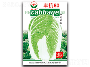 �S��80-�ײ˷N��-����