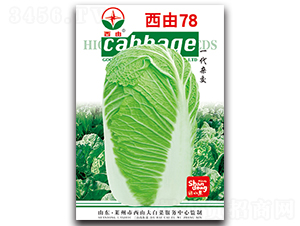 ����78-�ײ˷N��-����