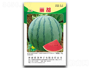 ����-���ϷN��-(li��n)��(chu��ng)