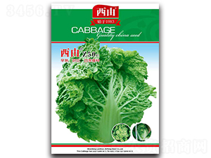 ����Z50-�ײ˷N��-����