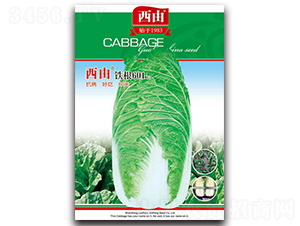 �F��601-�ײ˷N��-����