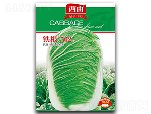 �F��702-�ײ˷N��-����