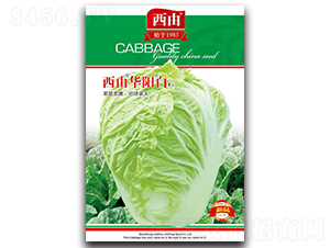 �����A�(y��ng)��-�ײ˷N��-����