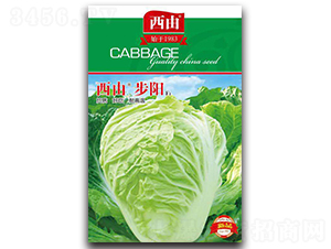 ���ɲ��-�ײ˷N��-����