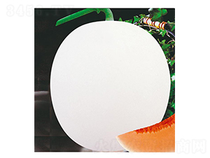 �����t����-��ϷN��-(li��n)��(chu��ng)