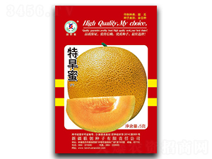 ������-��ϷN��-(li��n)��(chu��ng)