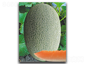 �Ä�(chu��ng)�۶�̖(h��o)-��ϷN��-(li��n)��(chu��ng)