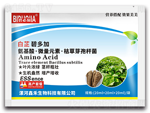 ���Ʊ̶��-�κ�����