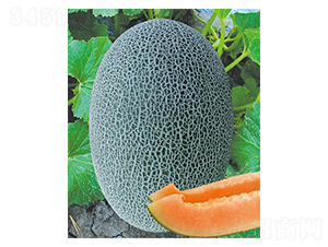 ��(chu��ng)����ʮ��̖(h��o)-��ϷN��-(li��n)��(chu��ng)