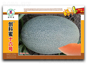 ��(chu��ng)����ʮ��̖(h��o)-��ϷN��-(li��n)��(chu��ng)