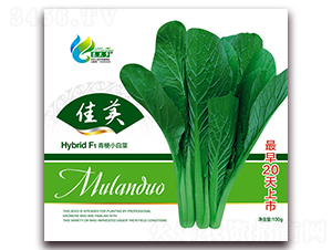 ����-�๣С�ײ˷N��-Ľ�m��