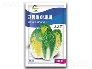 ̫̫��-���޲˷N��-Ľ�m��