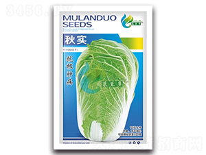 �(sh��)-�ײ˷N��-Ľ�m��