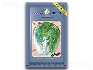 �-�ײ˷N��-Ľ�m��