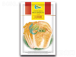 ���P��-�ײ˷N��-Ľ�m��