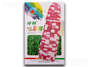 ��{��Ŵ-Ŵ���׷N��-�����o(j��)