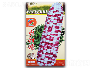 ��{����Ŵ-Ŵ���׷N��-�����o(j��)