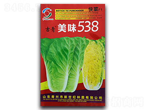 ��ζ538-�ײ˷N��-�����o