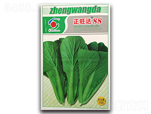 �����_88-�ײ˷N��-�����o