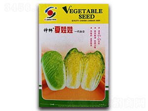 ��{������-���޲˷N��-�����o