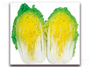 ���������-���޲˷N��-�����o