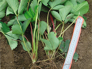 �t�-��ݮ�N��-�A�ͷN�I(y��)