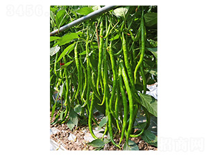 혼�97-�����N��-�����N�I(y��)