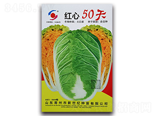 �t��50��-��ײ˷N��-�����o