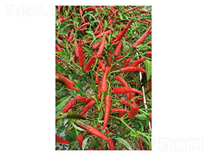 ����221-�����N��-�����N�I(y��)