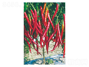 ��ؕ��-�����N��-�����N�I(y��)