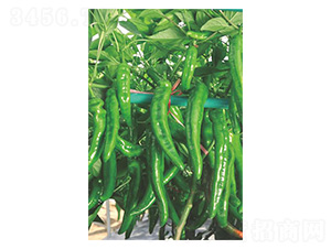 �������q��-�����N��-�����N�I(y��)