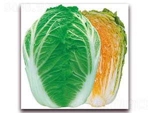 ��{�ۼt��-��ײ˷N��-�����o