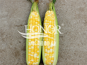 ������3̖-���׷N��-�A�ͷN�I(y��)