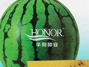 ����-���ϷN��-�A�ͷN�I(y��)