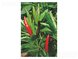 ����152-�����N��-�����N�I(y��)