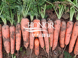 ���t026-�}���N��-�A�ͷN�I(y��)