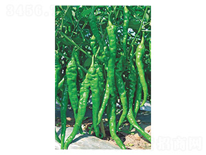 ������-�ݽz���N��-�����N�I(y��)