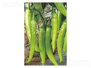 ��̖�ʽ�-ţ�ǽ��N��-�����N�I(y��)