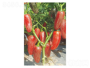 ����̫��1̖-ţ�ǽ��N��-�����N�I(y��)