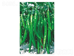 �����G��-�⽷�N��-�����N�I(y��)