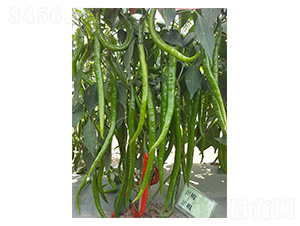 ����19̖-�����N��-�����N�I(y��)