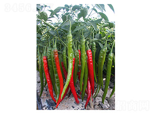 �ļ���-�����N��-�����N�I(y��)