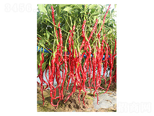 �����L��-�����N��-�����N�I(y��)