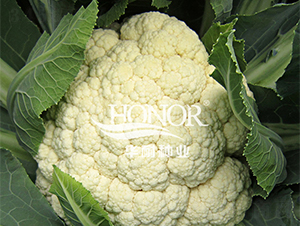 �P��65-���˷N��-�A�ͷN�I(y��)