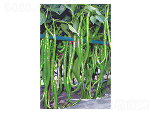 ����18̖-�����N��-�����N�I(y��)