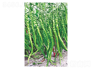 �����t120-�����N��-�����N�I(y��)