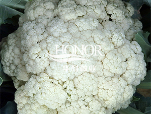 �A���ɻ�80-���˷N��-�A�ͷN�I(y��)