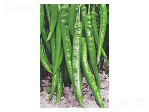 ������̖-�����N��-�����N�I(y��)