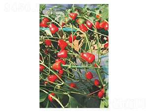 �������ӽ�-��ݮ���N��-�����N�I(y��)