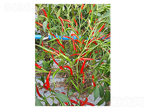 ����168-���콷�N��-�����N�I(y��)